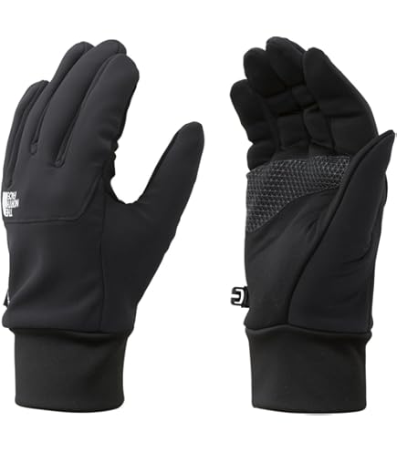 Amazon.co.jp: Dakineレザータイタンゴアテックスグローブ